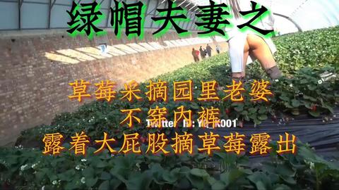 绿帽夫妻 - 绿帽夫妻之    在草莓采摘园里不穿内裤撅着大屁股摘草莓好刺激  投稿💌： @SexytoBaby @SexytoLady @Sexyto...