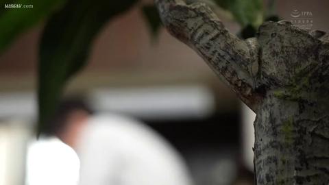 NTR的美好瞬间 - 很多人觉得自己老婆不漂亮。但其实,如果男人没有相对应的实力,那你的老婆并不属于你。你戴绿帽的机率与老婆漂亮的程度成正比,与你的实力(钱+社...