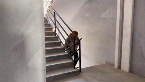shawn again - open door - gay porn